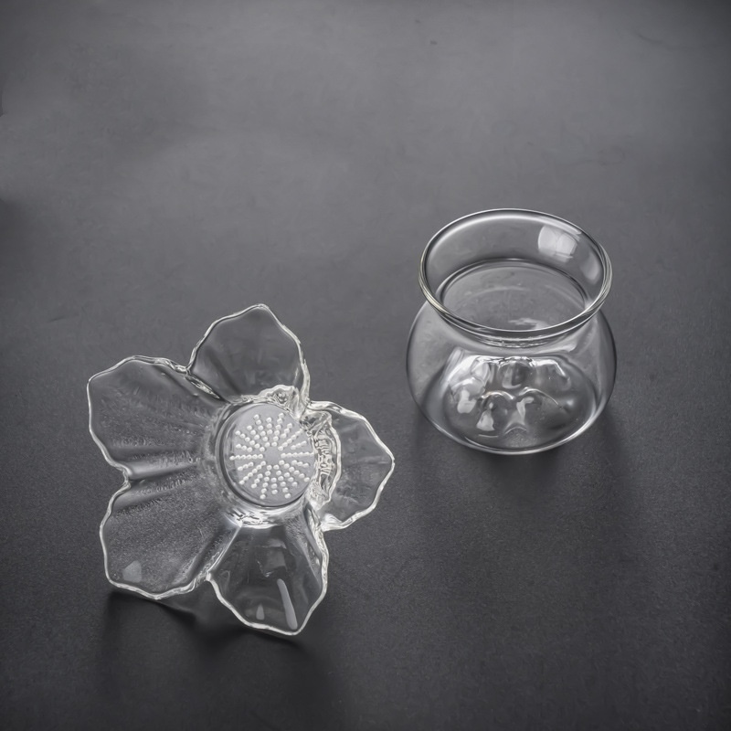 Infusor de Té de Vidrio con So - Loose Leaf Tea Infuser reseña y precio